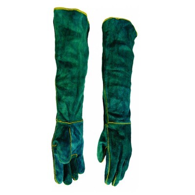 Glove | Green Lined | Shoulder 16